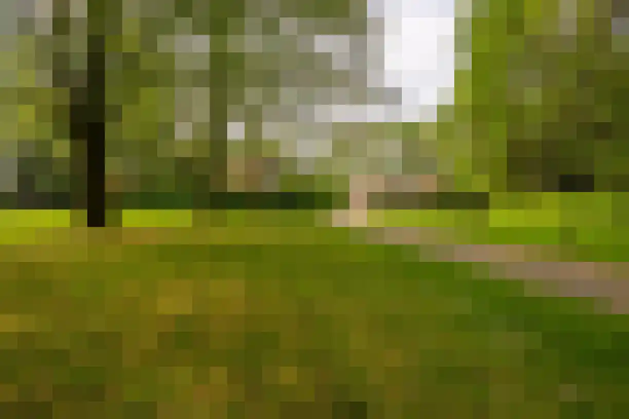Weststraat 2 Wouwse Plantage thumbnail 5