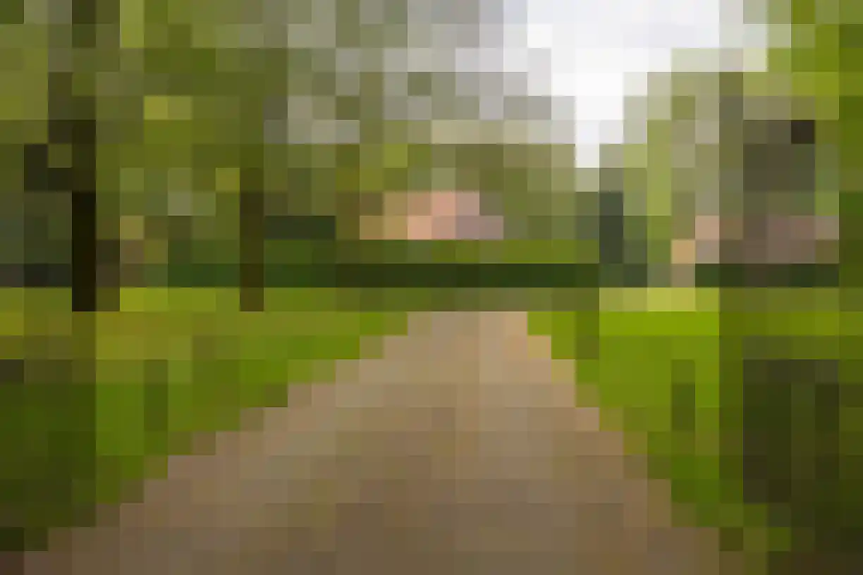 Weststraat 2 Wouwse Plantage thumbnail 56