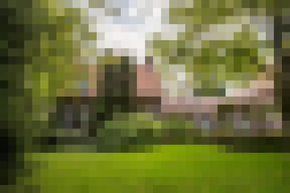 Weststraat 2 Wouwse Plantage thumbnail 58