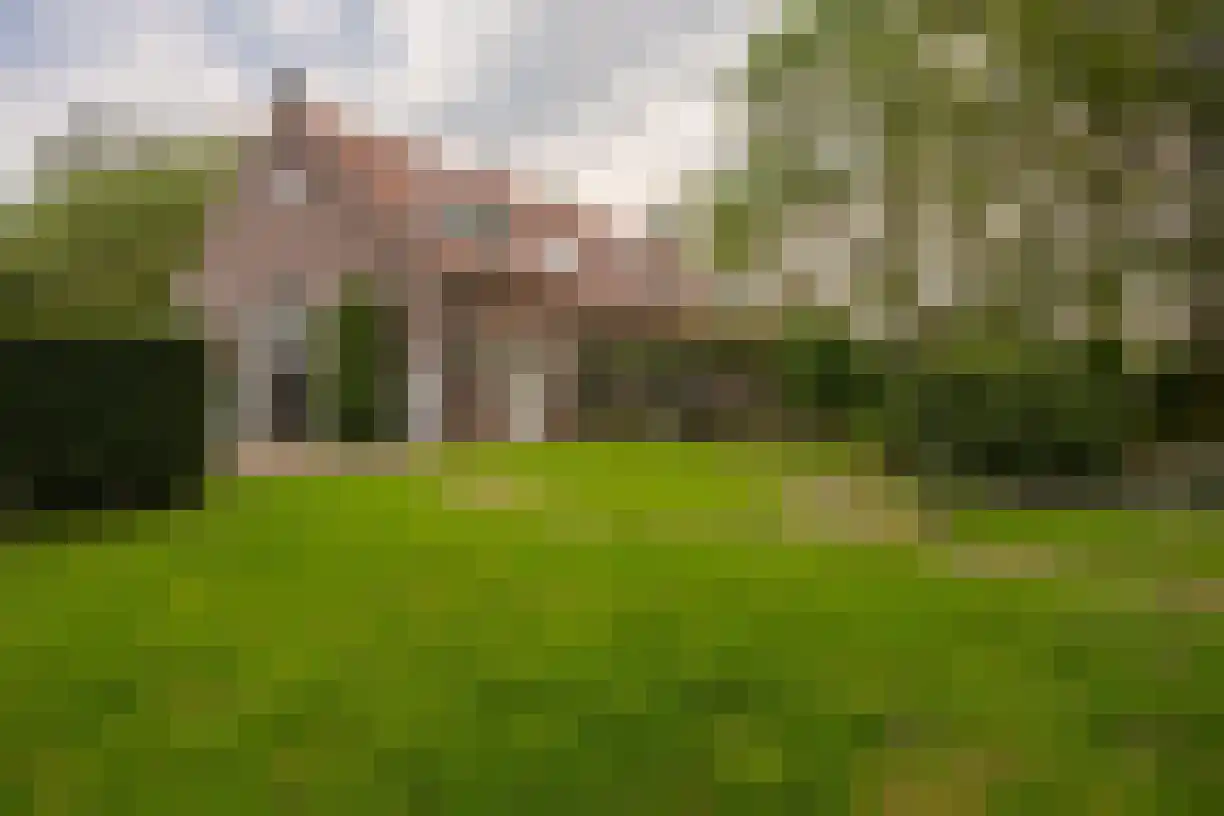 Weststraat 2 Wouwse Plantage thumbnail 8