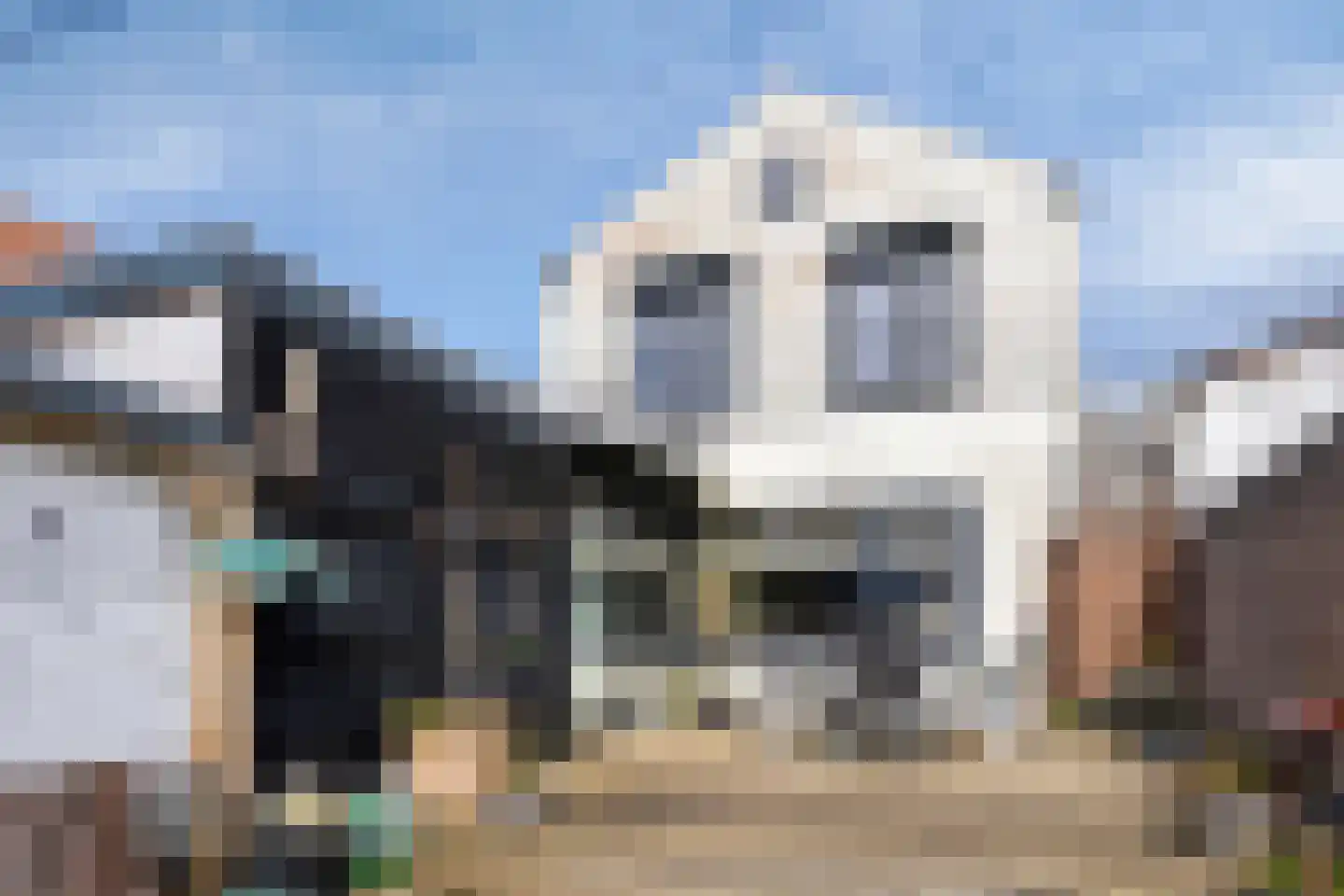 Weststraat 23 Axel thumbnail 26