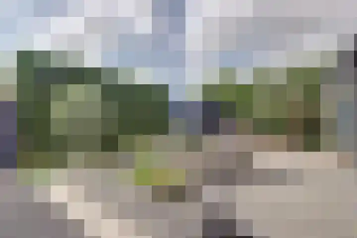 Weststraat 23 Burgh-Haamstede thumbnail 38