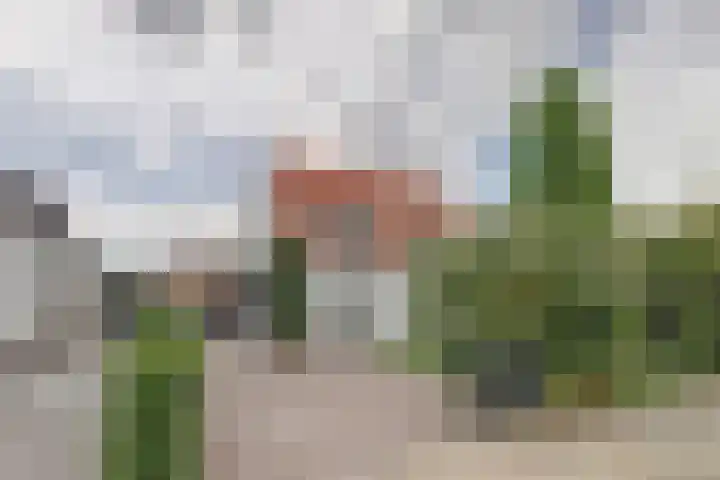 Weststraat 23 Burgh-Haamstede thumbnail 4