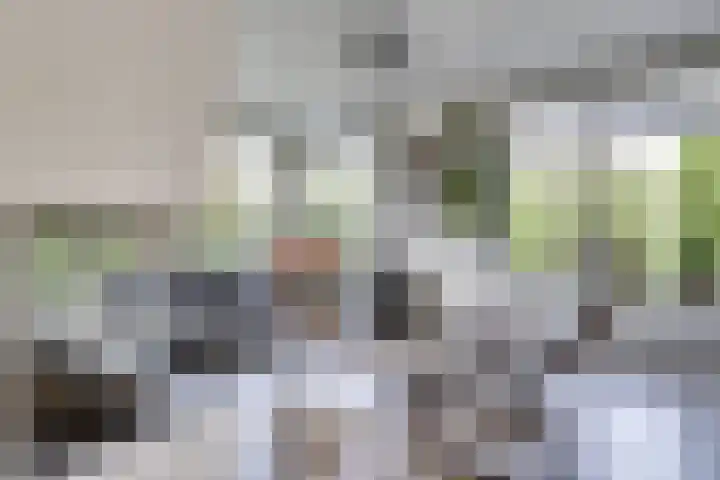 Weststraat 23 Burgh-Haamstede thumbnail 7