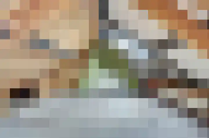 Weststraat 23 Nieuwerkerk thumbnail 22