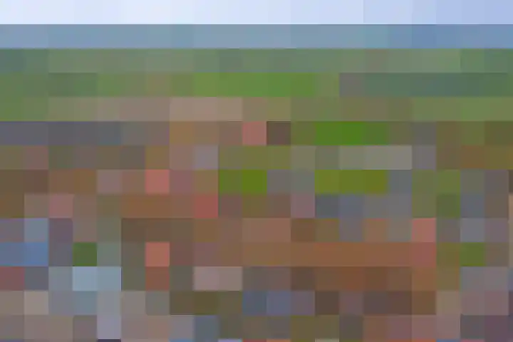 Weststraat 23 Nieuwerkerk thumbnail 35