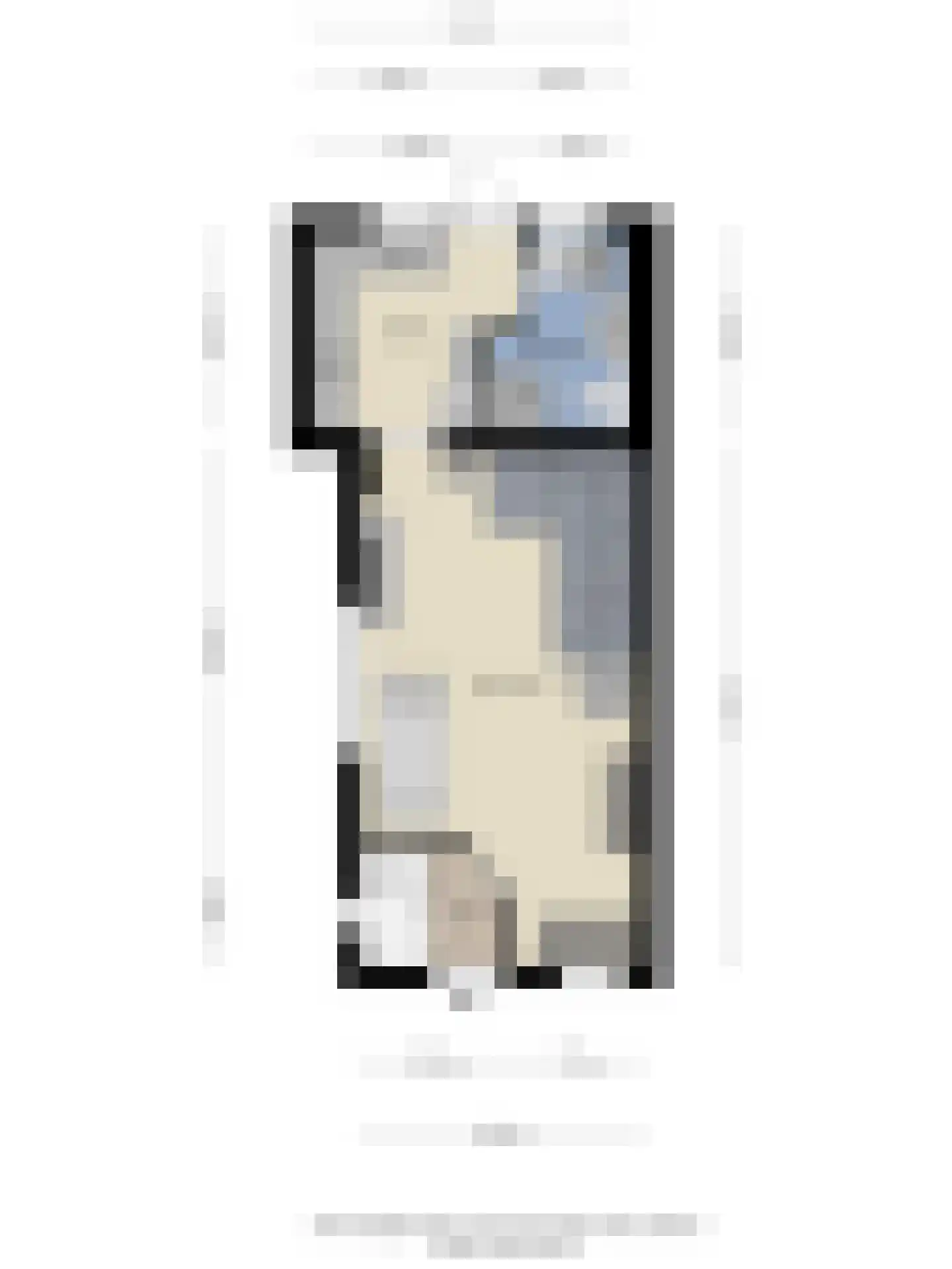 Weststraat 24 Sint-Annaland thumbnail 38