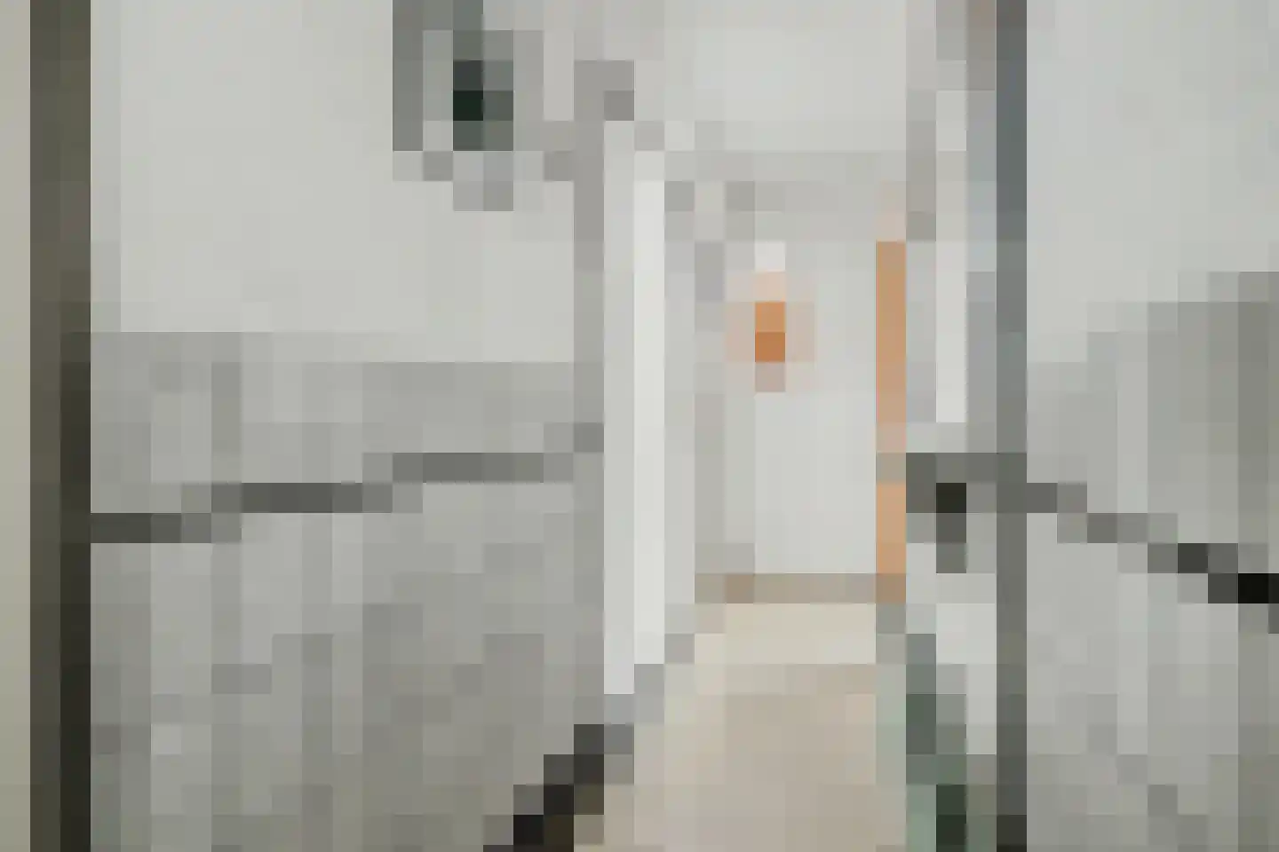 Weststraat 25 Nieuwerkerk thumbnail 16