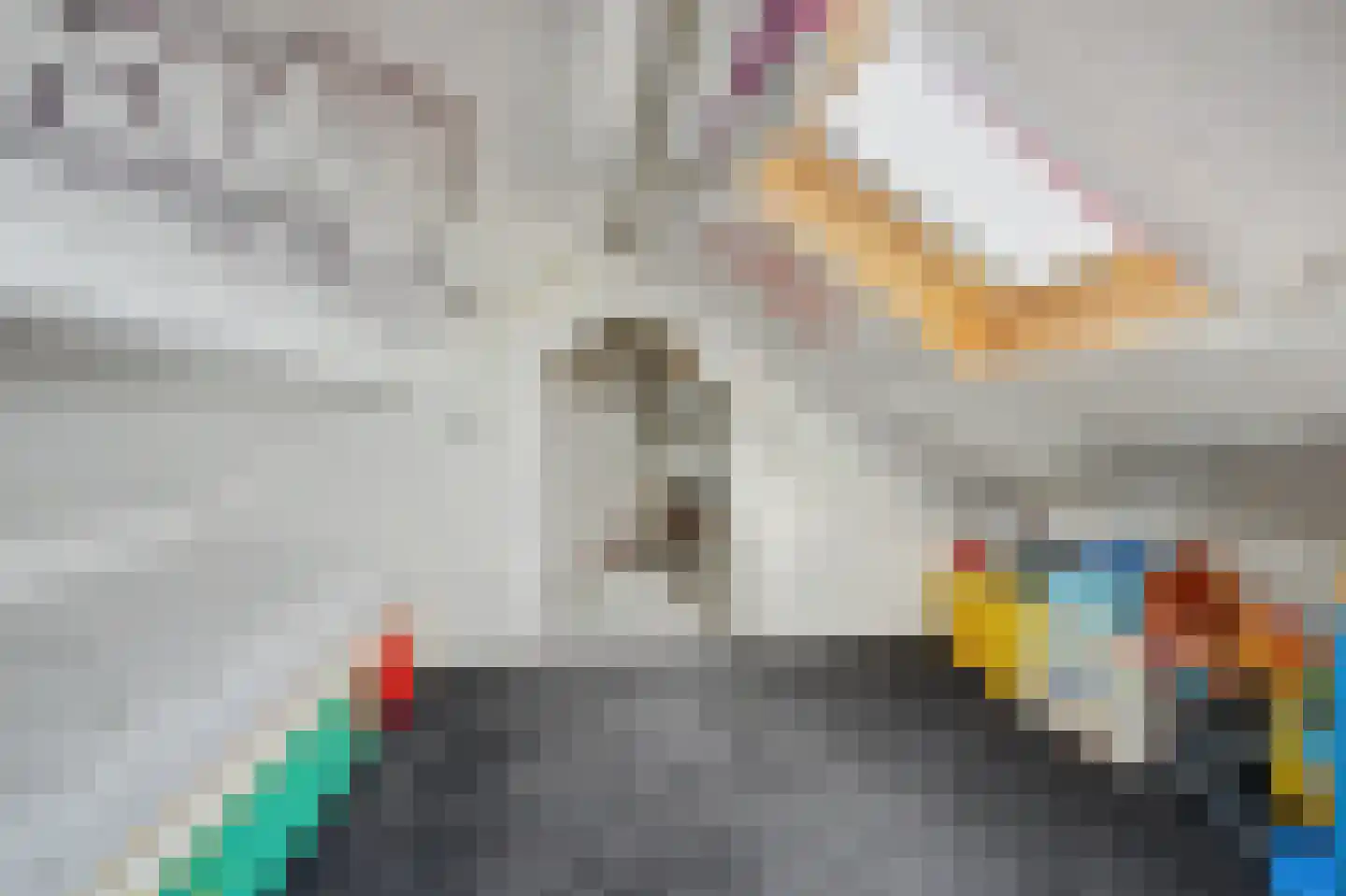 Weststraat 25 Nieuwerkerk thumbnail 32
