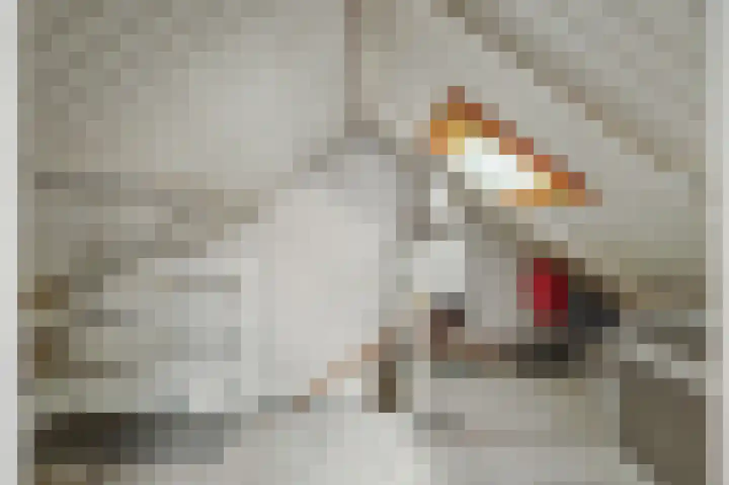 Weststraat 25 Nieuwerkerk thumbnail 33