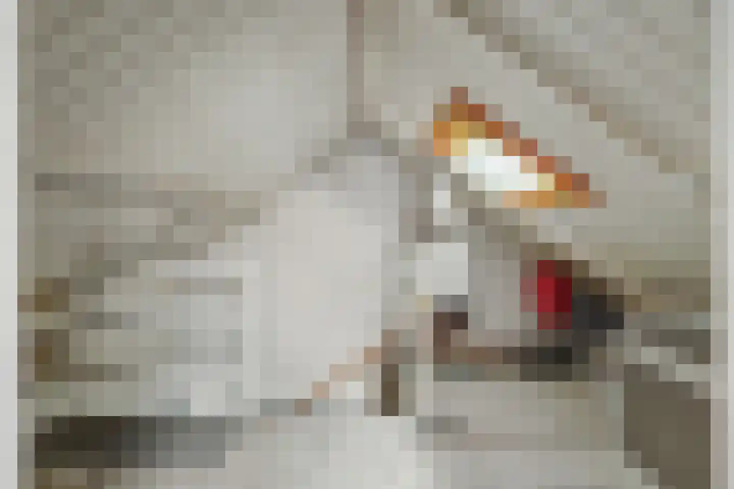 Weststraat 25 Nieuwerkerk thumbnail 34