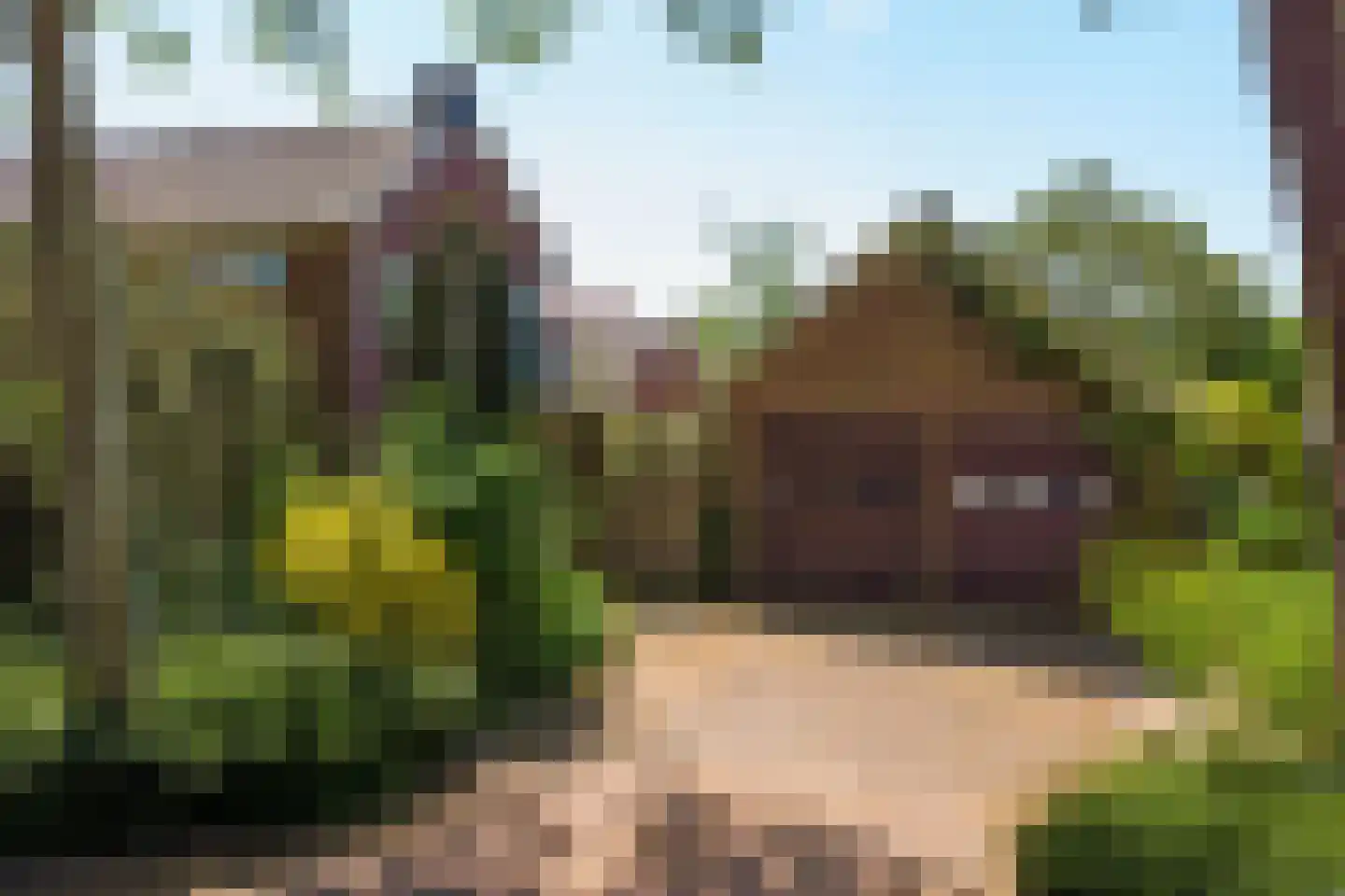 Weststraat 25 Nieuwerkerk thumbnail 47
