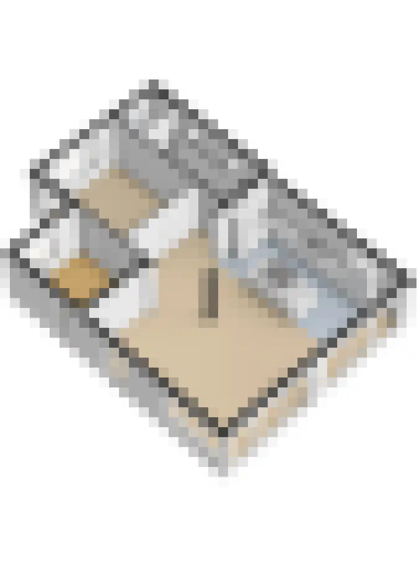Weststraat 25 Nieuwerkerk thumbnail 66