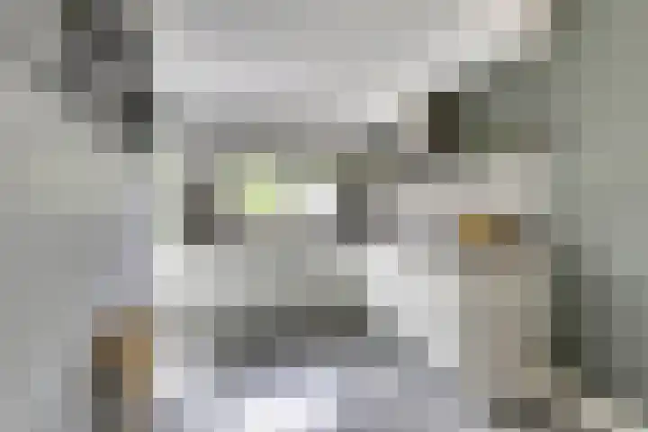 Weststraat 27 Kortgene thumbnail 11