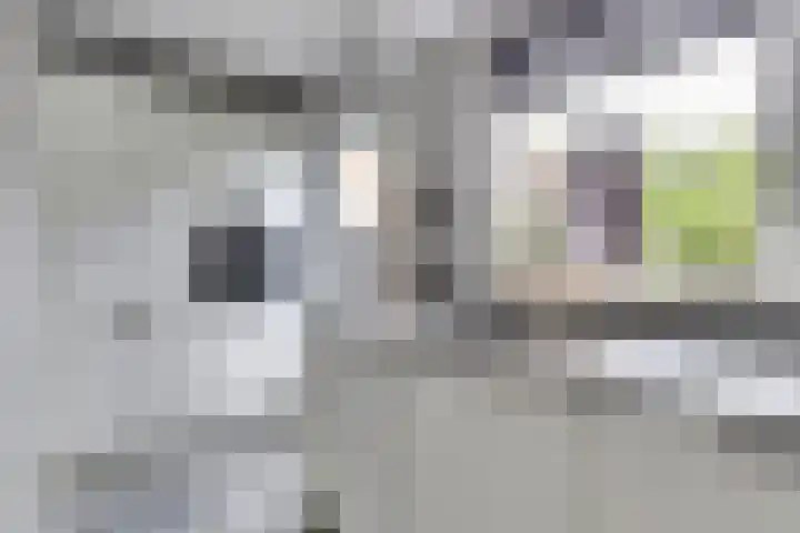 Weststraat 27 Kortgene thumbnail 13
