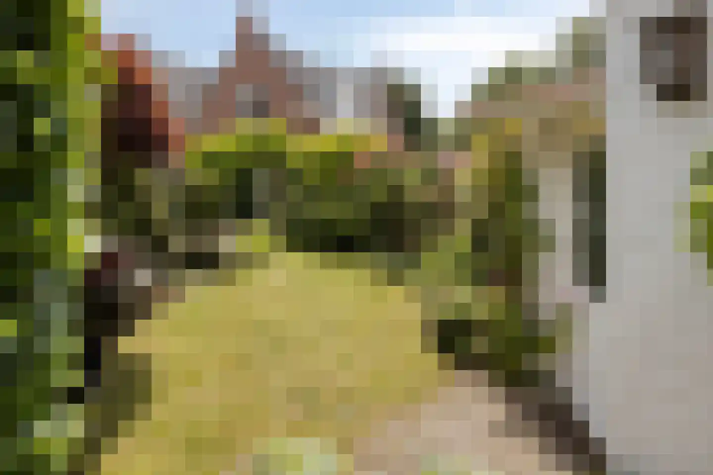 Weststraat 29 Zierikzee thumbnail 27