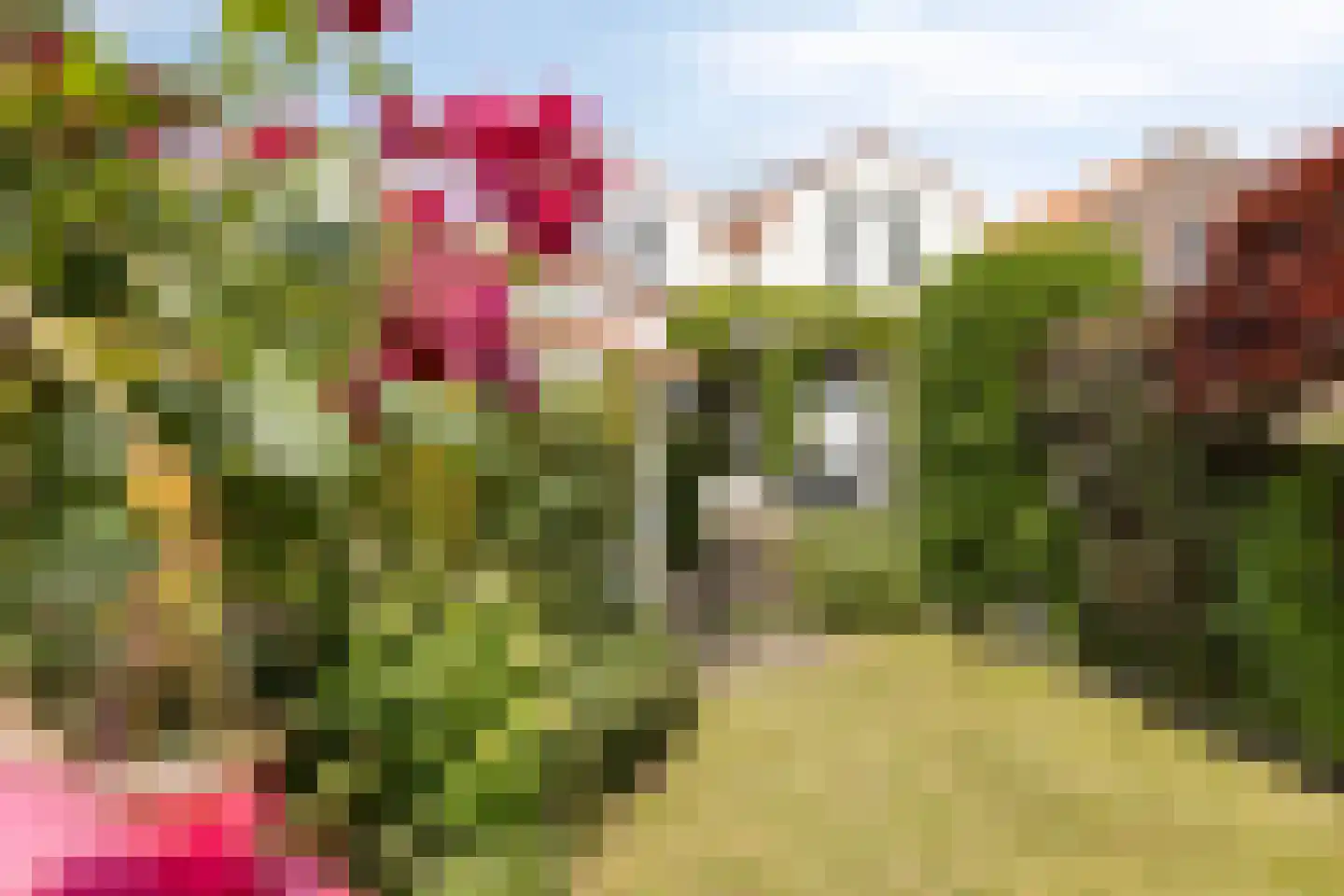 Weststraat 29 Zierikzee thumbnail 28