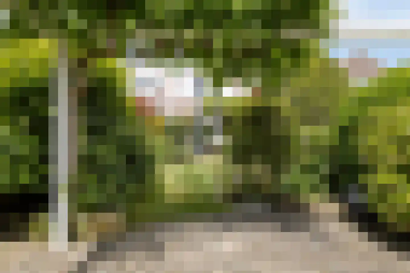 Weststraat 29 Zierikzee thumbnail 31