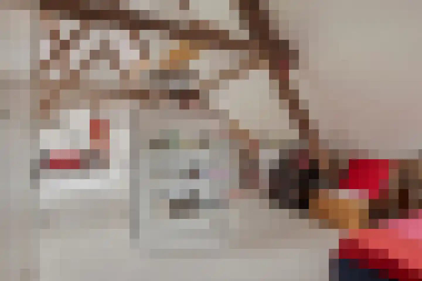 Weststraat 3 Aardenburg thumbnail 39