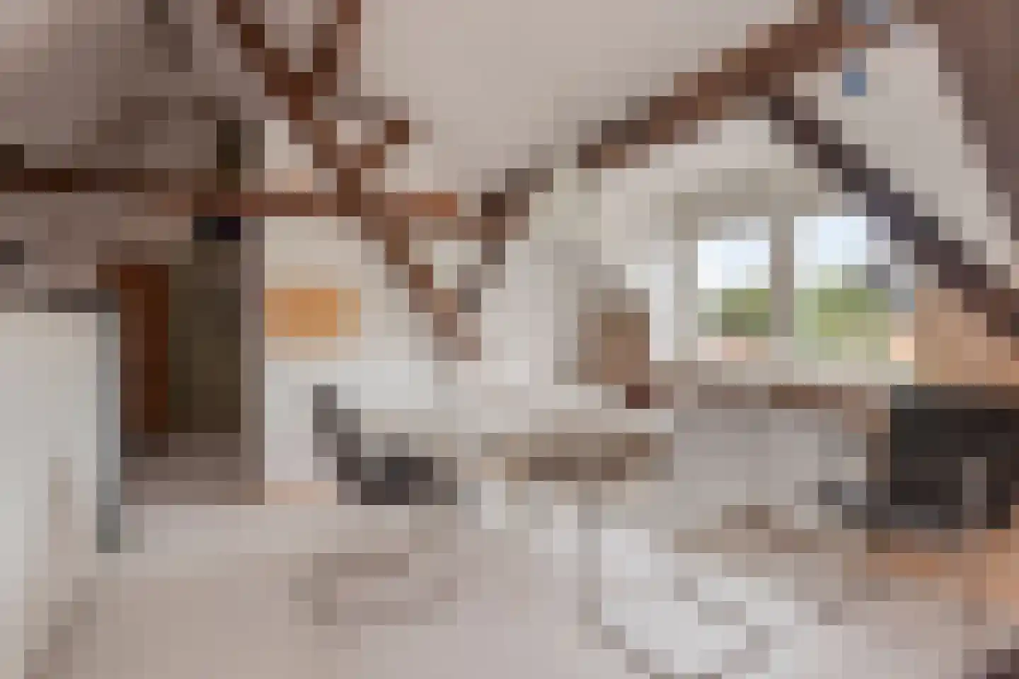 Weststraat 3 Aardenburg thumbnail 47
