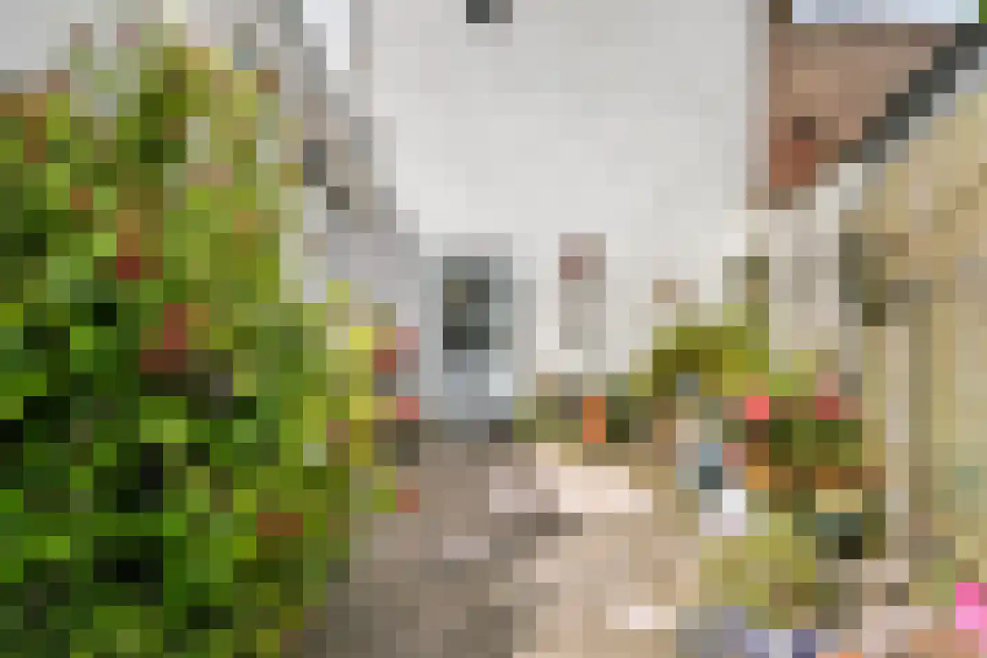 Weststraat 3 Aardenburg thumbnail 52
