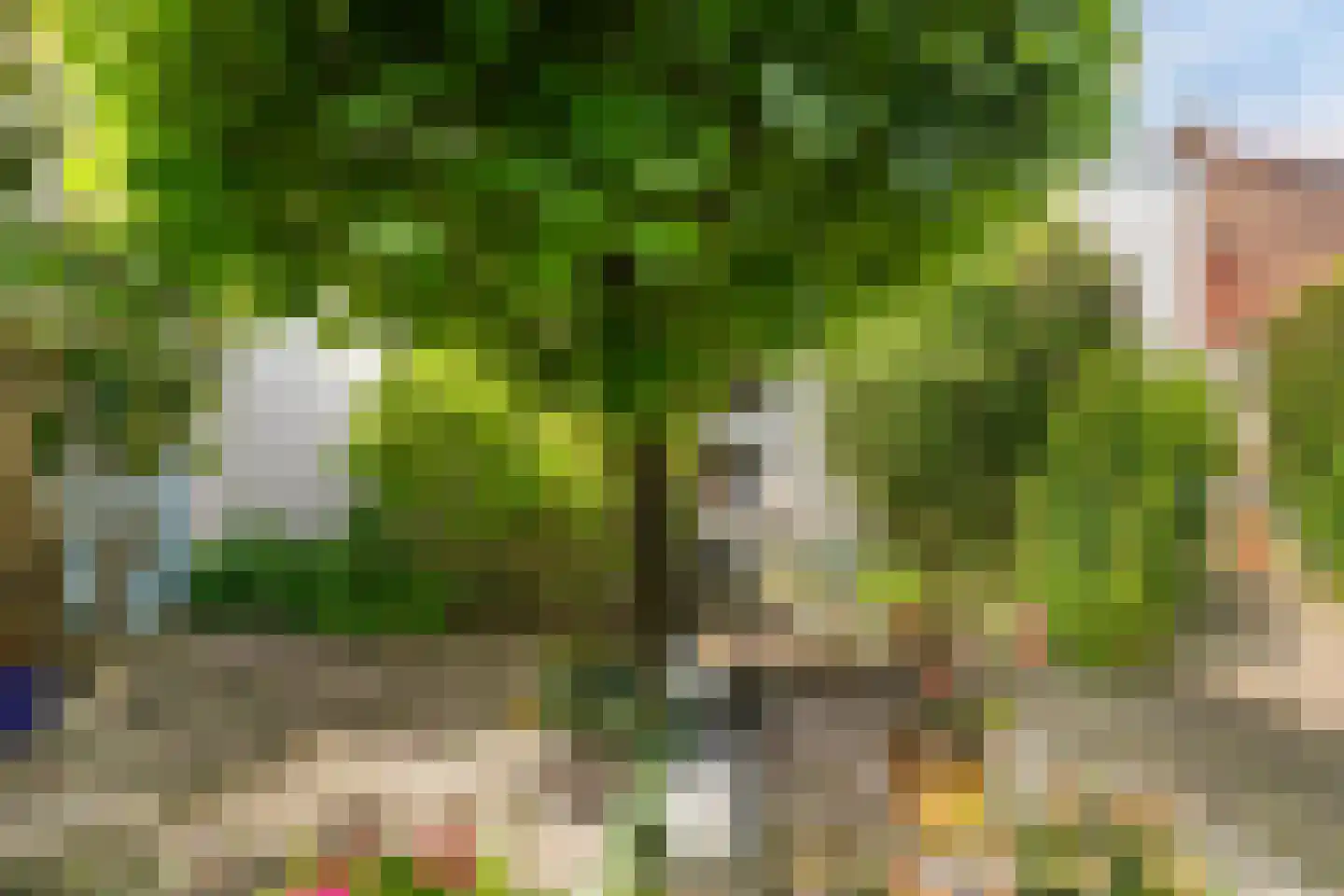 Weststraat 3 Aardenburg thumbnail 55