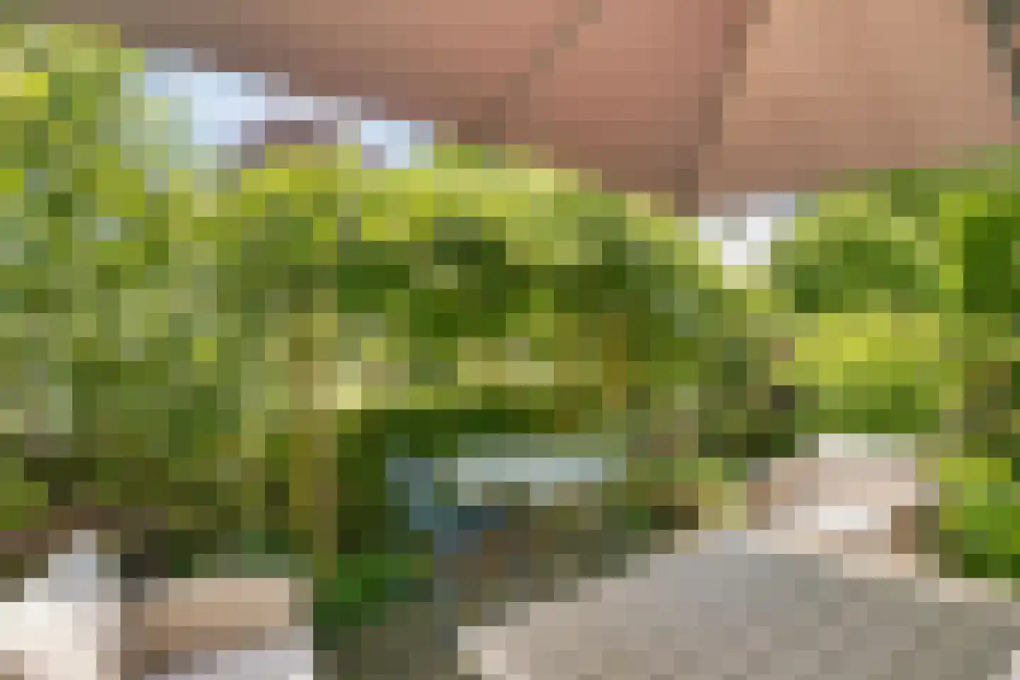 Weststraat 3 Aardenburg thumbnail 59