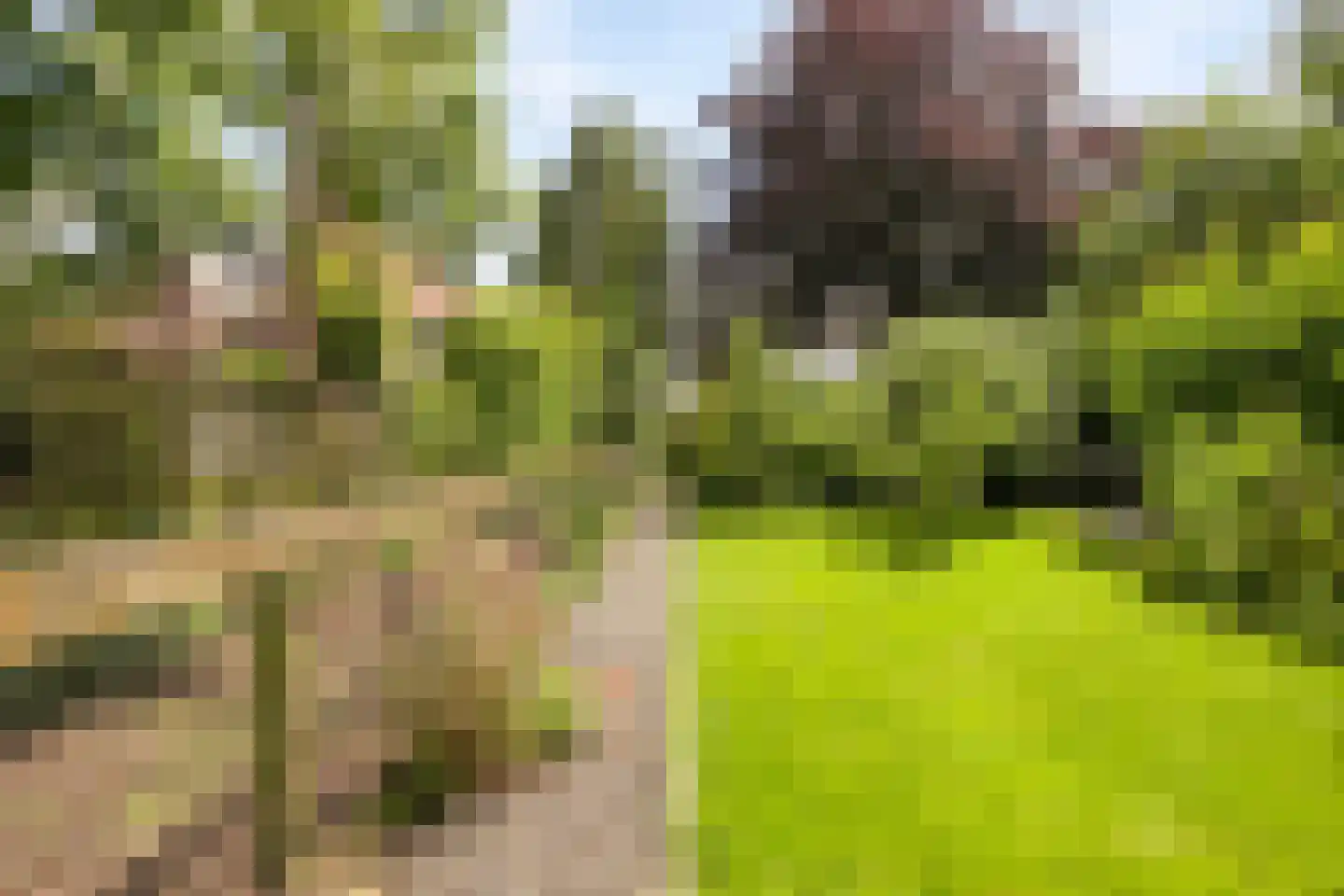 Weststraat 3 Aardenburg thumbnail 66