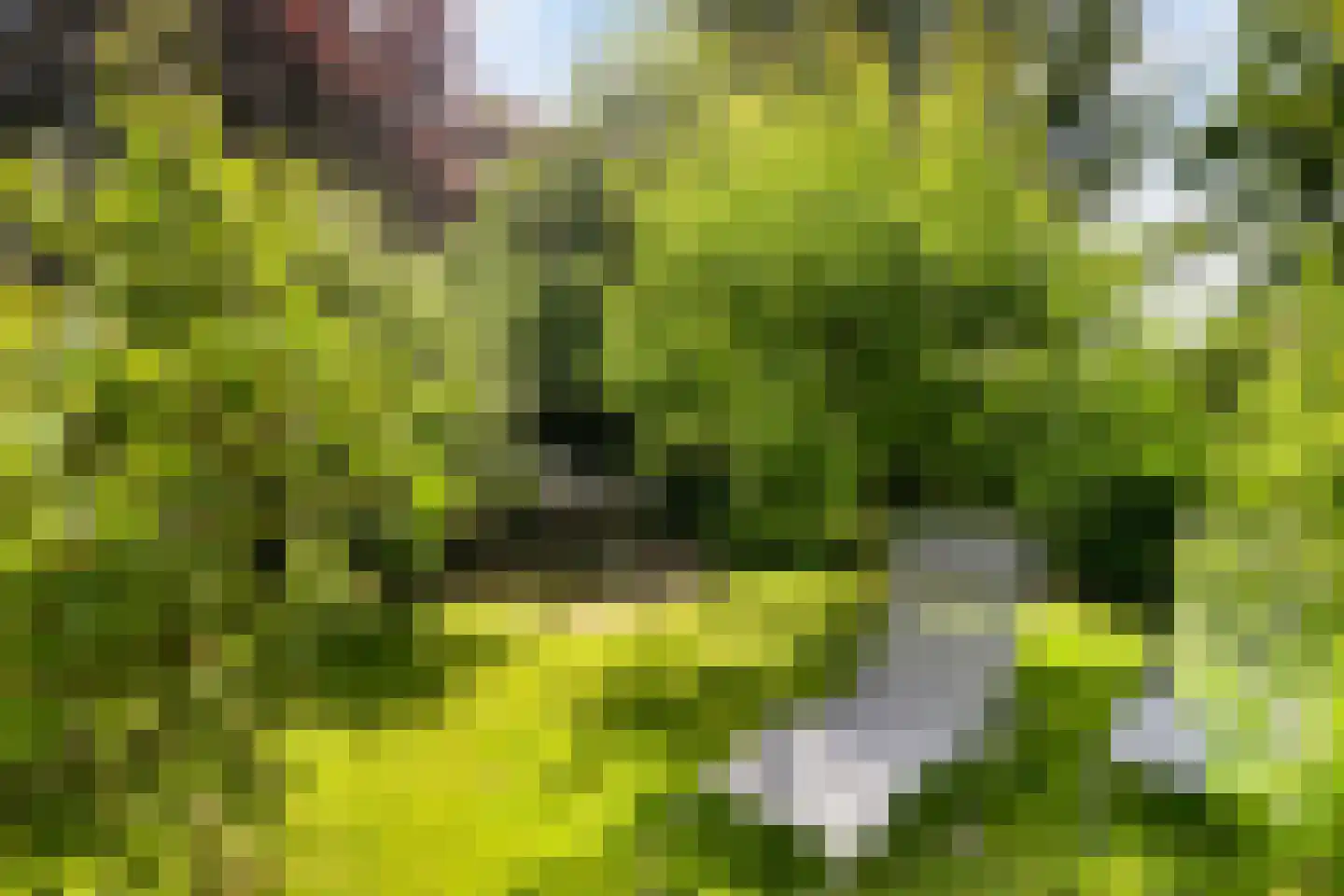 Weststraat 3 Aardenburg thumbnail 68