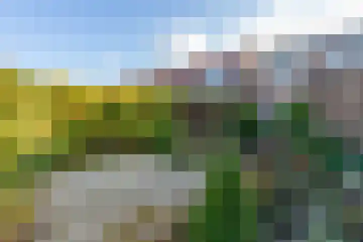 Weststraat 30 Koudekerke thumbnail 18