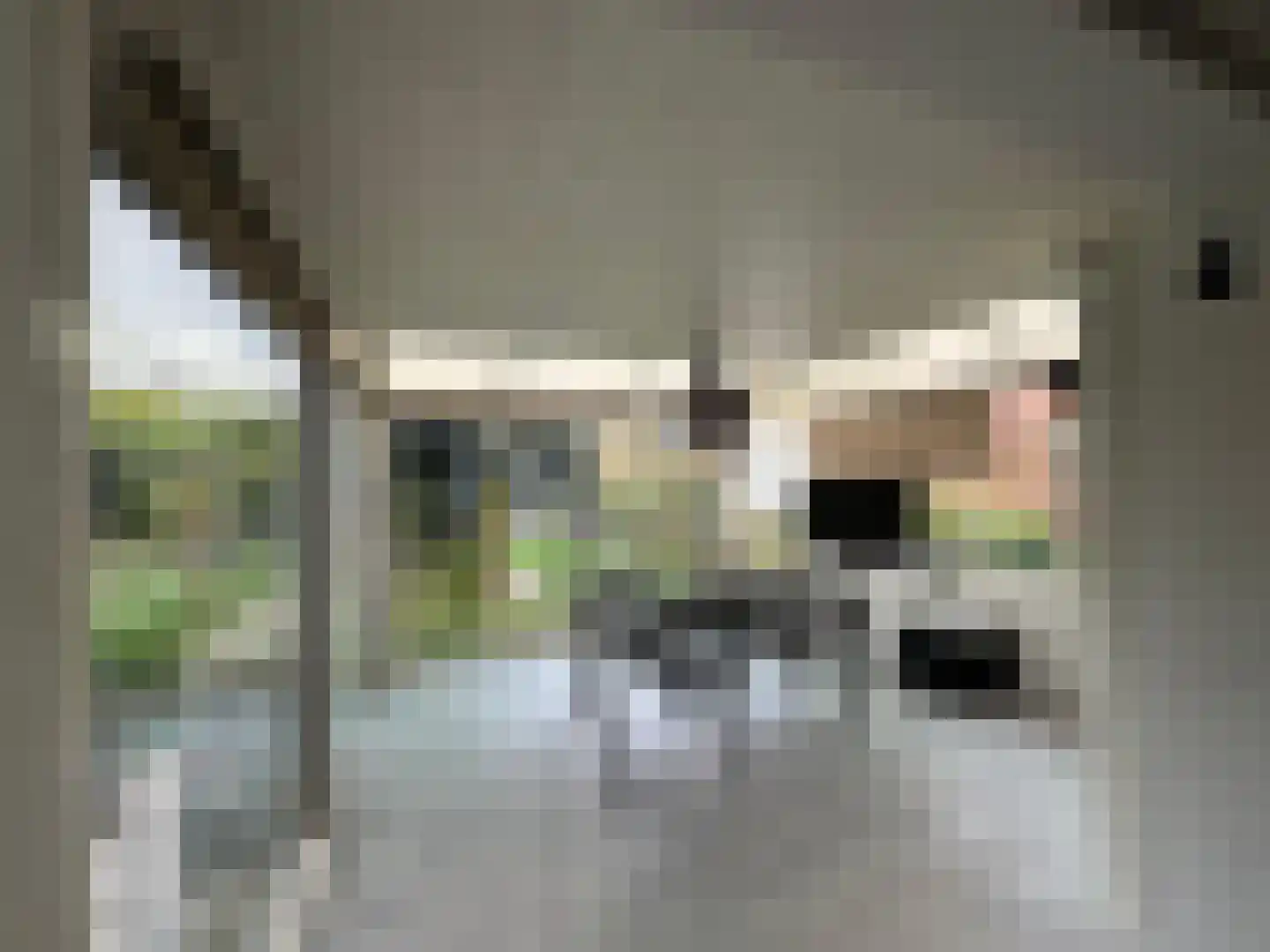 Weststraat 31 Biervliet thumbnail 10