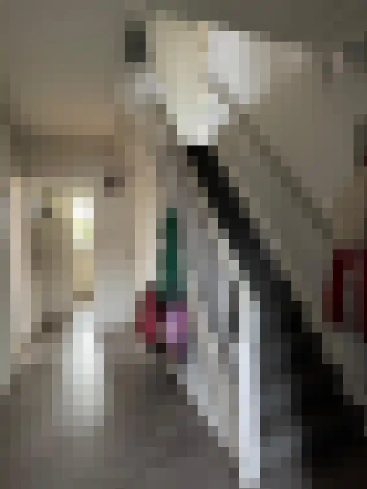 Weststraat 31 Biervliet thumbnail 11