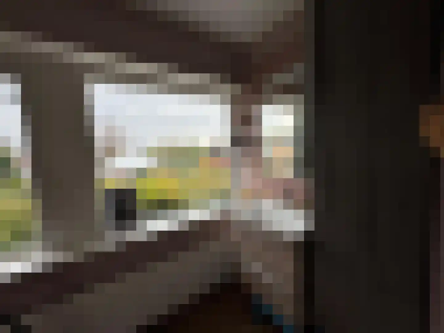 Weststraat 31 Biervliet thumbnail 18