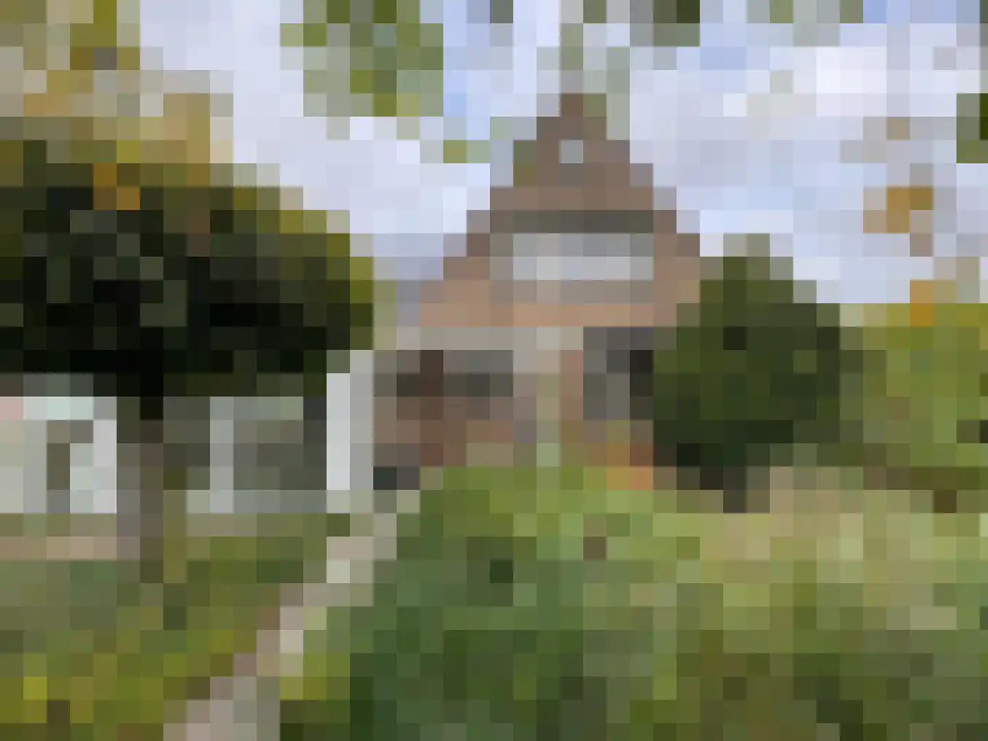 Weststraat 31 Biervliet thumbnail 4