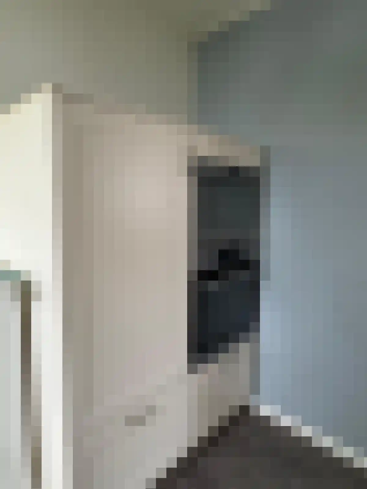 Weststraat 31 Biervliet thumbnail 7
