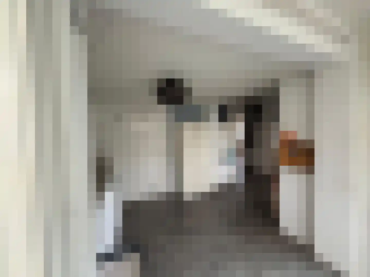 Weststraat 31 Biervliet thumbnail 9
