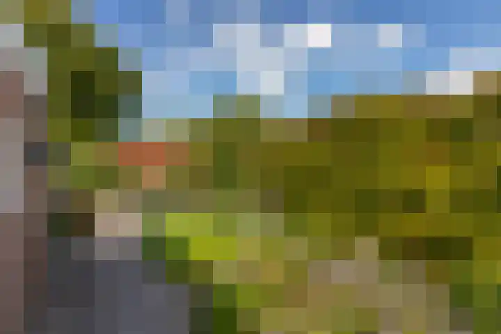 Weststraat 32 Koudekerke thumbnail 23