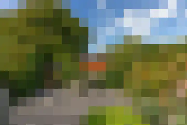 Weststraat 32 Koudekerke thumbnail 24
