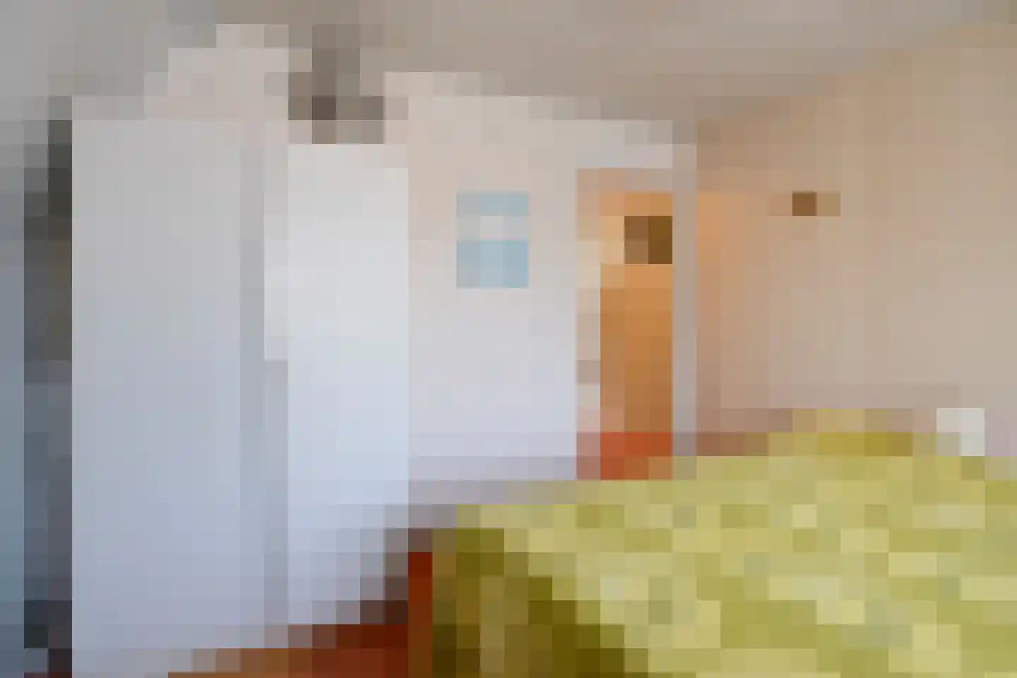Weststraat 36 A Oostburg thumbnail 23