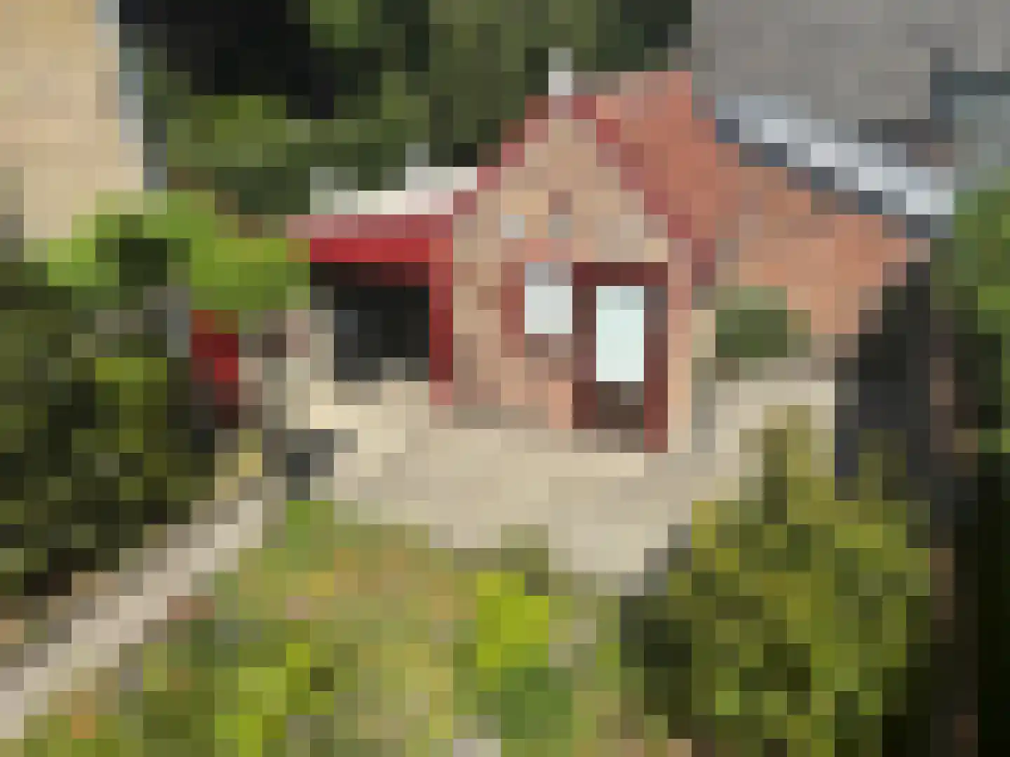 Weststraat 36 Aardenburg thumbnail 30