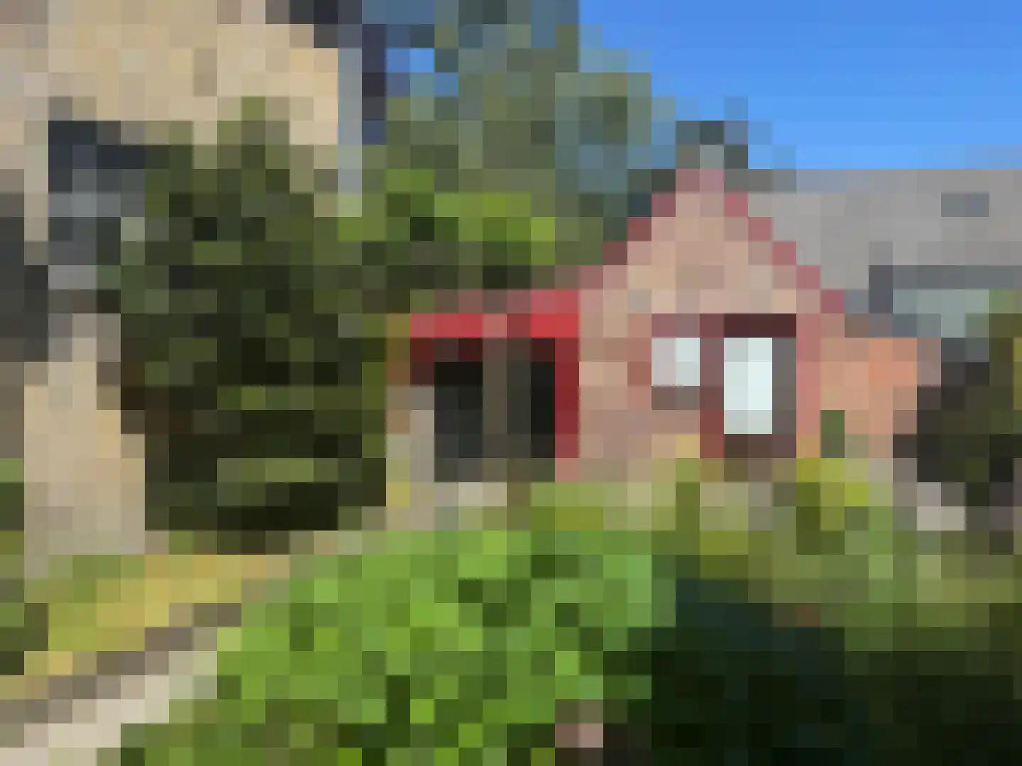 Weststraat 36 Aardenburg thumbnail 33