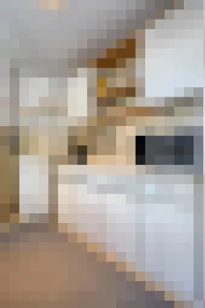 Weststraat 36 Oostburg thumbnail 11