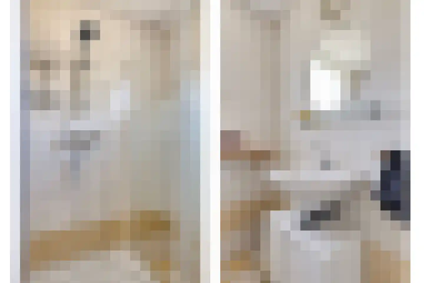 Weststraat 38 Burgh-Haamstede thumbnail 30