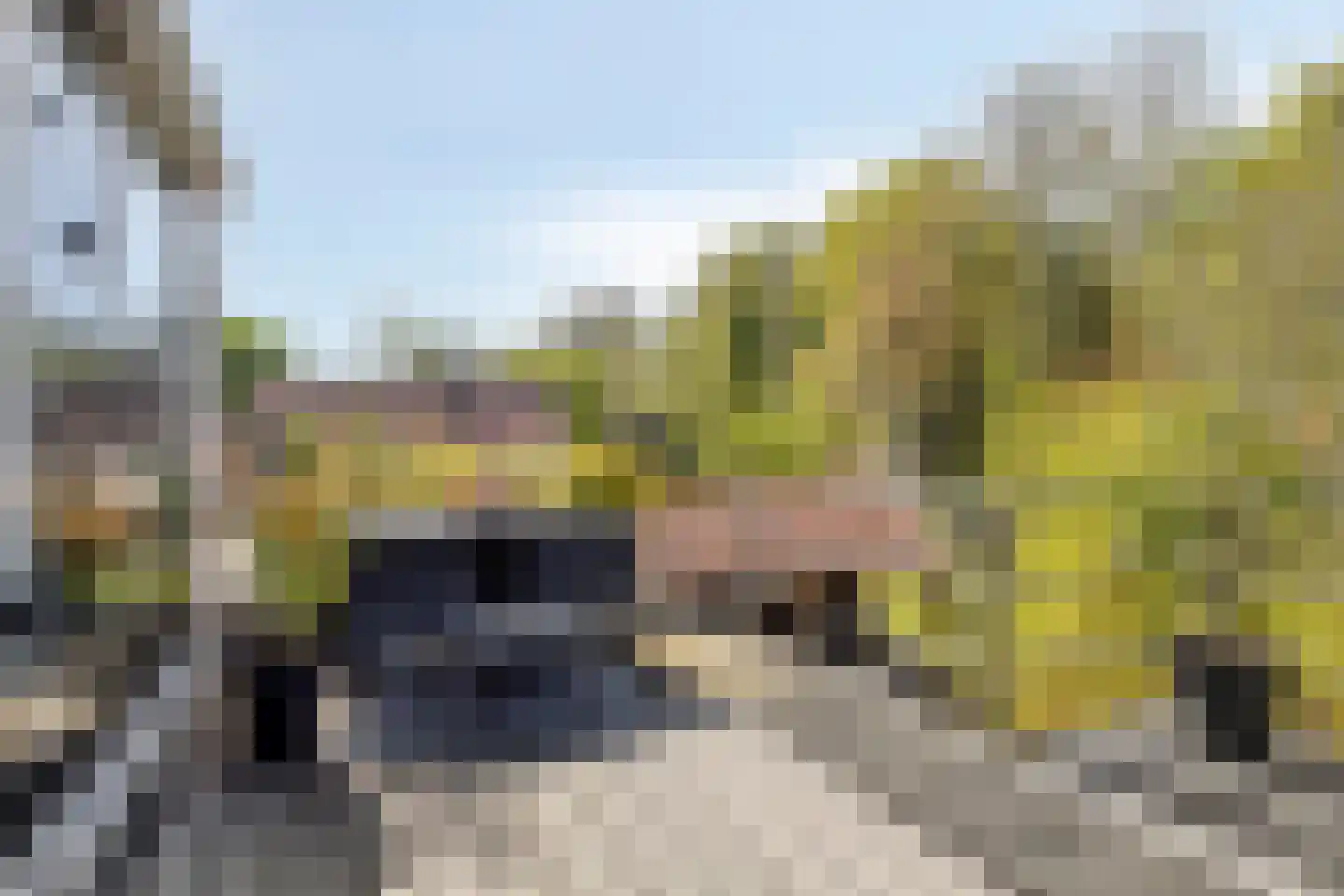 Weststraat 38 Burgh-Haamstede thumbnail 34