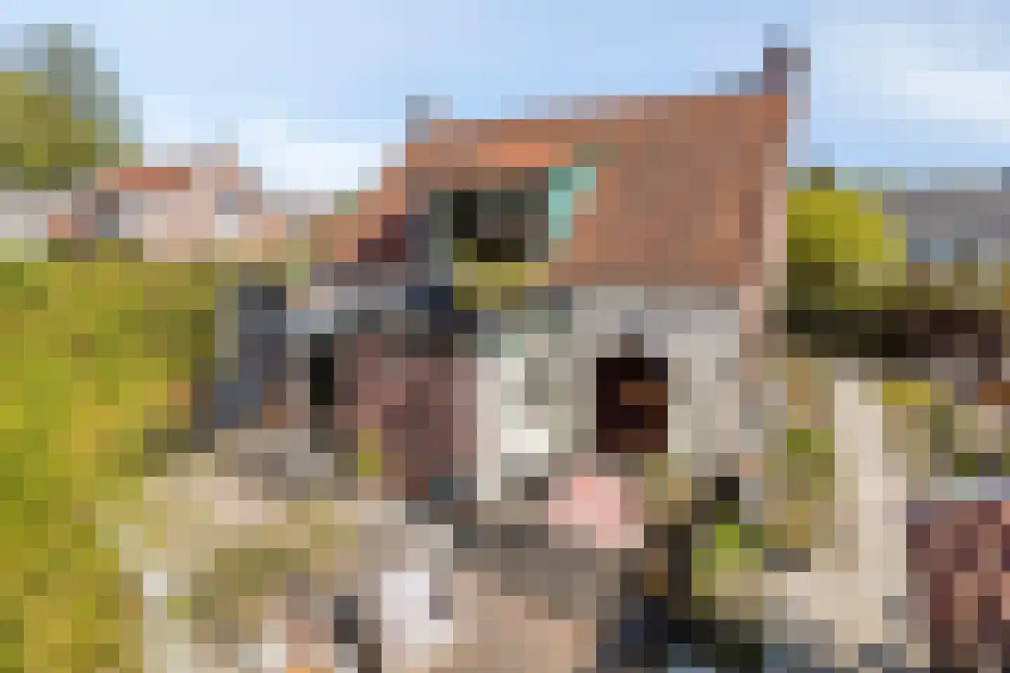Weststraat 38 Burgh-Haamstede thumbnail 36