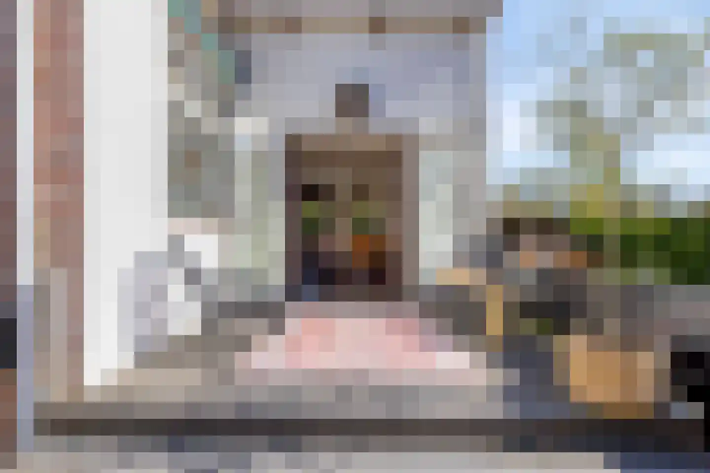 Weststraat 38 Burgh-Haamstede thumbnail 37
