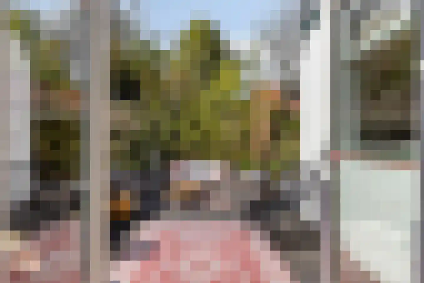 Weststraat 38 Burgh-Haamstede thumbnail 38