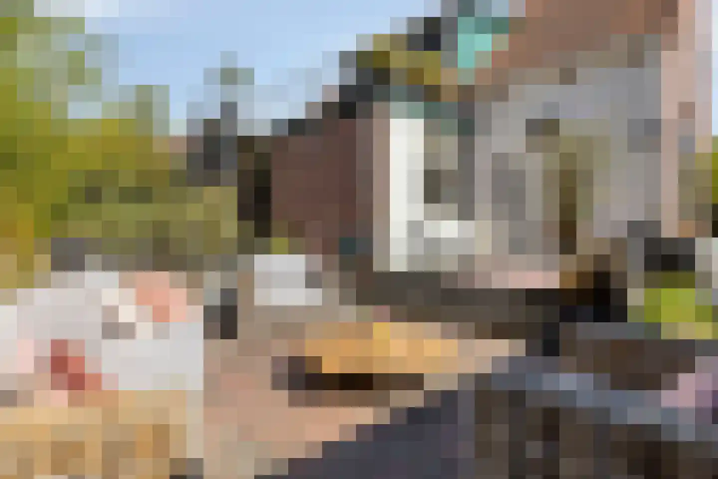 Weststraat 38 Burgh-Haamstede thumbnail 39