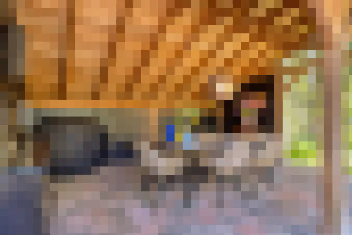 Weststraat 38 Burgh-Haamstede thumbnail 43