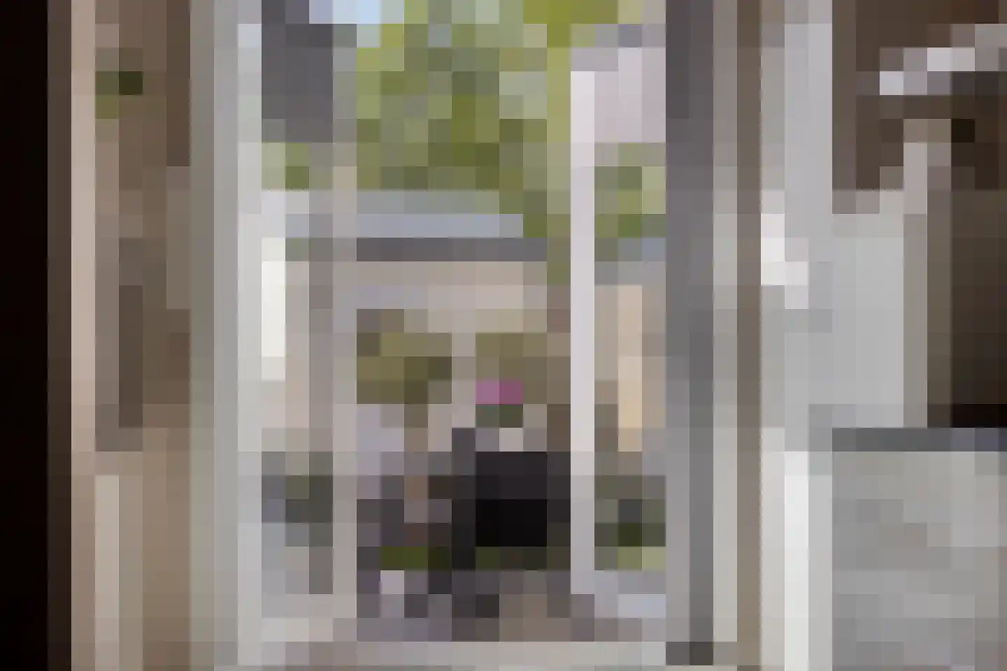 Weststraat 39 Zierikzee thumbnail 19